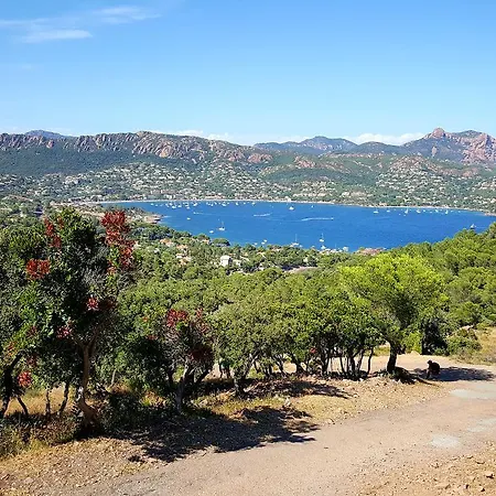 Отель Logis L'esterella 3*