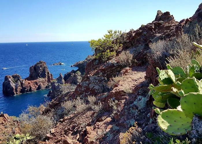 Logis L'esterella 3*